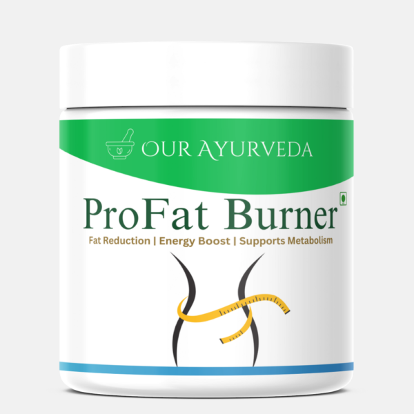Our Ayurveda Profat Burner